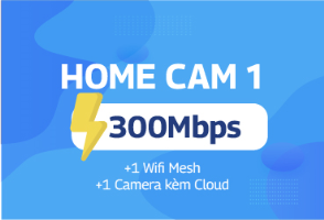 home-cam-1