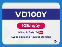 vd100y
