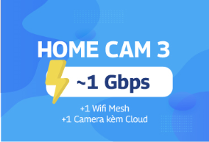 home-cam-3