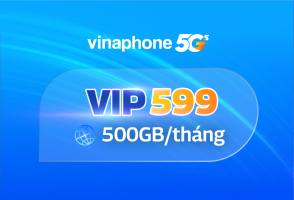 vip599